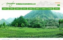 &#112;&#112;&#30005;&#23376;&#40;&#20013;&#22269;&#28216;&#41;&#23448;&#26041;&#22312;&#32447;&#24179;&#21488;